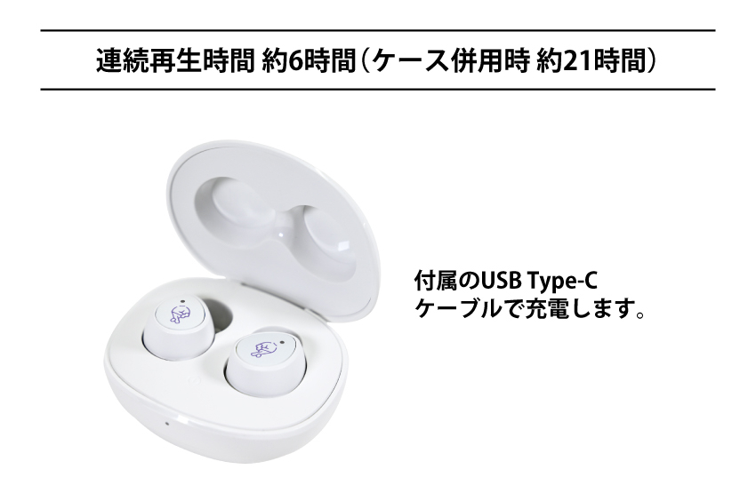 ONKYO DIRECT｜【再販】ワイヤレスイヤホン ANIMA AOW04「18TRIP