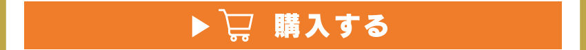 
	  イヤホンを購入する