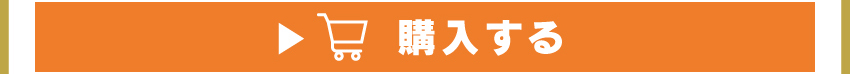 
	  イヤホンを購入する