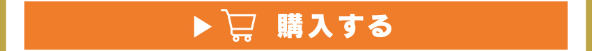 
	  イヤホンを購入する