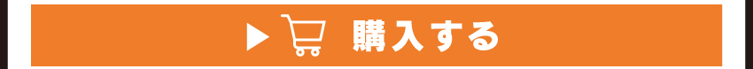 
	  イヤホンを購入する