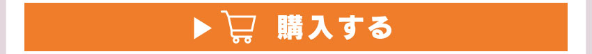 ワイヤレスイヤホンを購入する