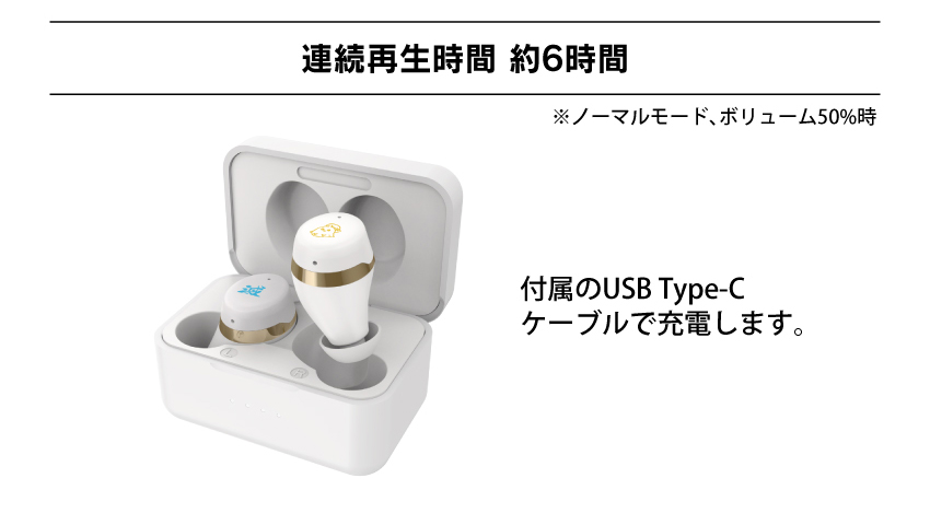 連続再生時間 約6時間