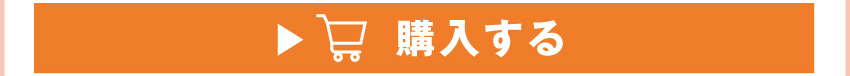 
	  イヤホンを購入する