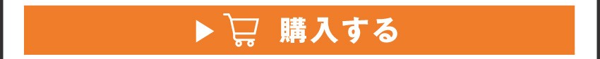 ワイヤレスイヤホンを購入する