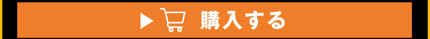 ワイヤレスイヤホンを購入する
