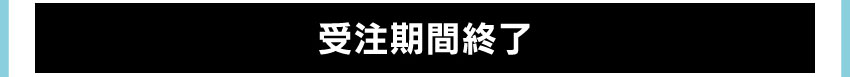 ワイヤレスイヤホンを購入する