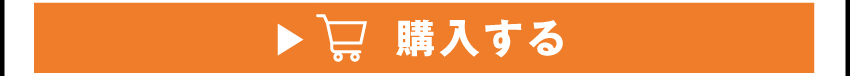 イヤホンを購入する
