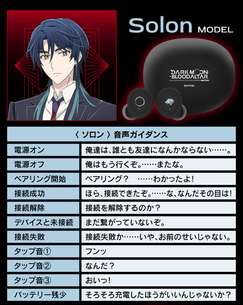 ソロン音声ガイダンス