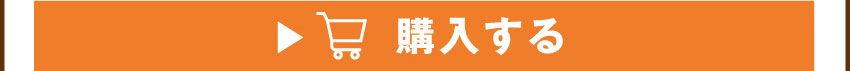 ワイヤレスイヤホンを購入する