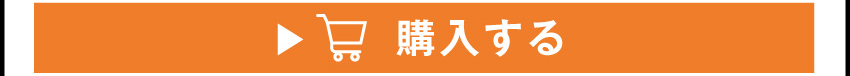 
	  イヤホンを購入する
