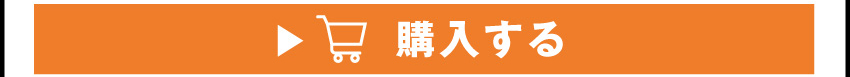 
	  イヤホンを購入する