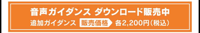 音声ガイダンスダウンロード開始