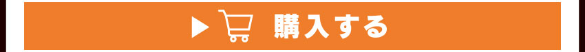 
	  イヤホンを購入する