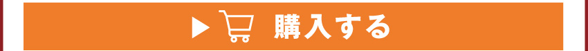 ワイヤレスイヤホンを購入する