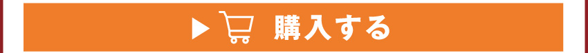 A4クリアファイルを購入する
