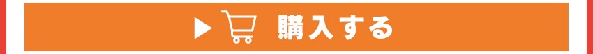 ワイヤレスイヤホンを購入する