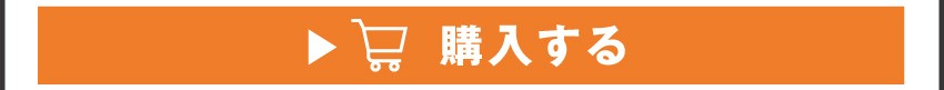 ワイヤレスイヤホンを購入する