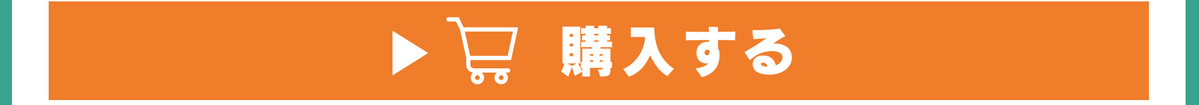 ワイヤレスイヤホンを購入する
