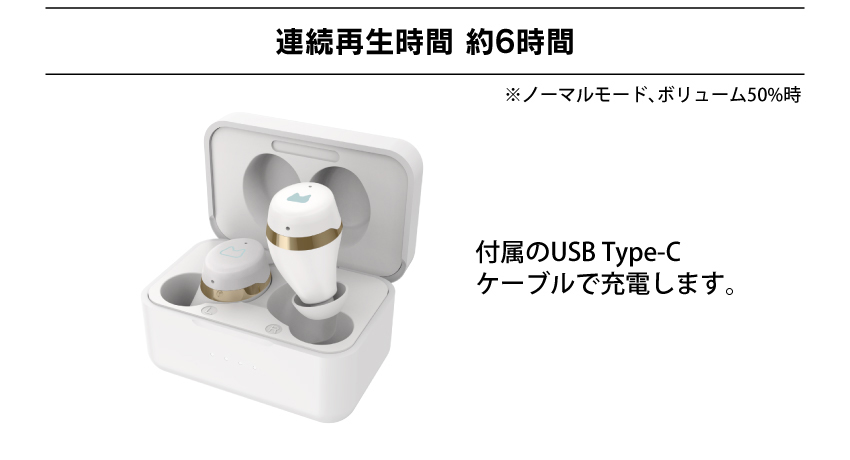 連続再生時間 約6時間