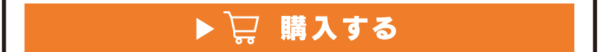 ワイヤレスイヤホンを購入する