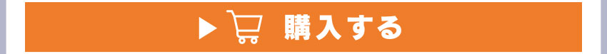 ワイヤレスイヤホンを購入する