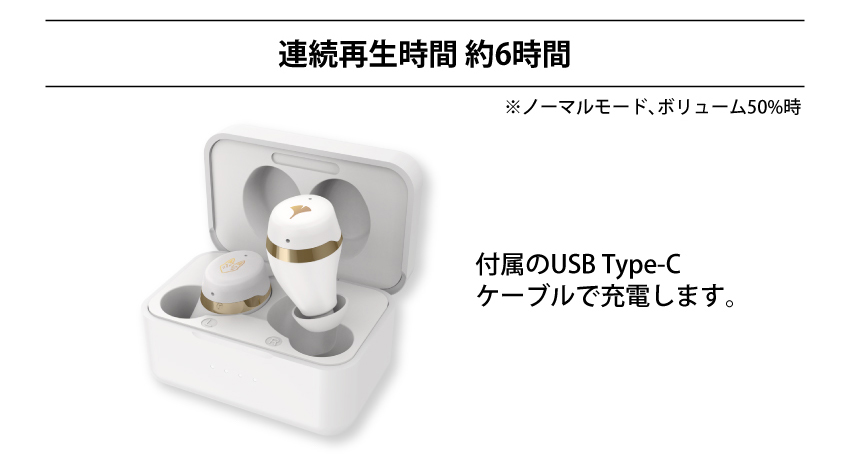 連続再生時間 約6時間