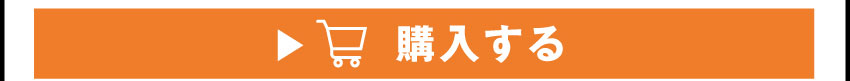 イヤホンを購入する