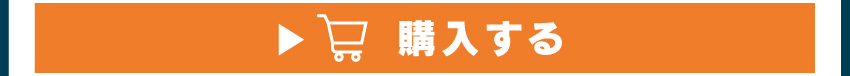 ワイヤレスイヤホンを購入する