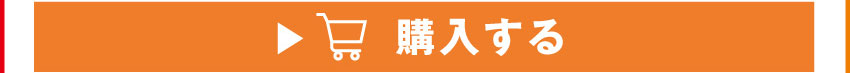 ワイヤレスイヤホンを購入する