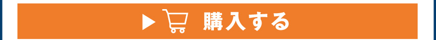 ワイヤレスイヤホンを購入する