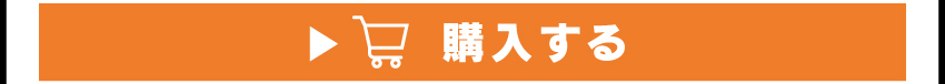 
	  イヤホンを購入する