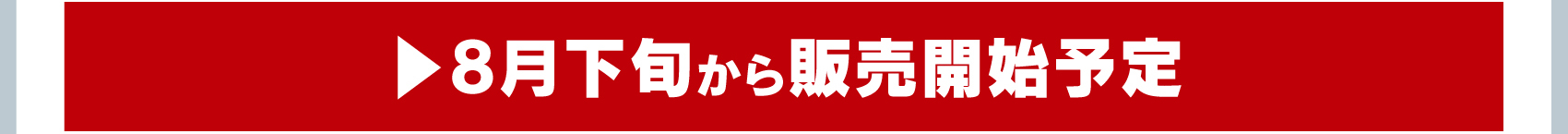A4クリアファイルを購入する