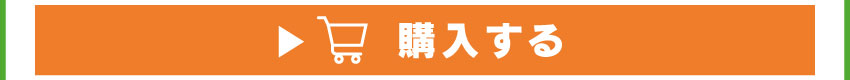 イヤホンを購入する