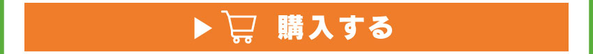 ワイヤレス充電器を購入する