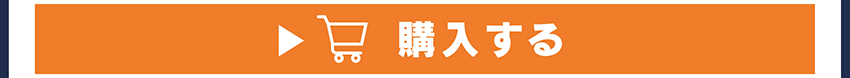 ワイヤレスイヤホンを購入する