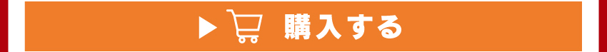 A4クリアファイルを購入する