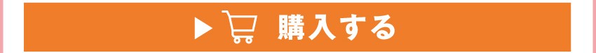 ワイヤレスイヤホンを購入する