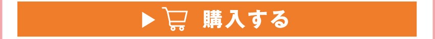 A4クリアファイルを購入する