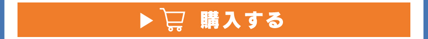 ワイヤレスイヤホンを購入する