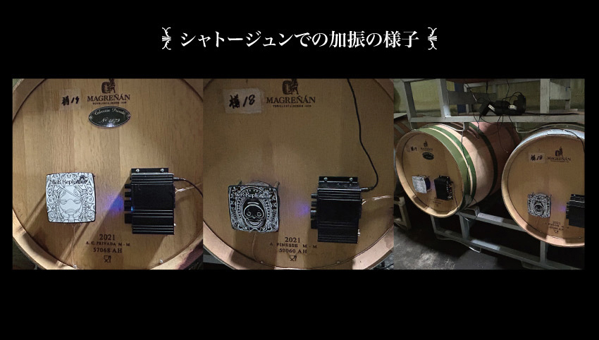 シャトージュンでの加振の様子