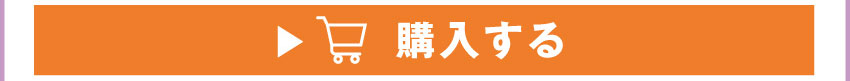A4クリアファイルを購入する