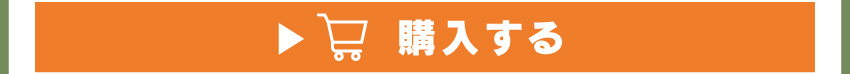
	  イヤホンを購入する