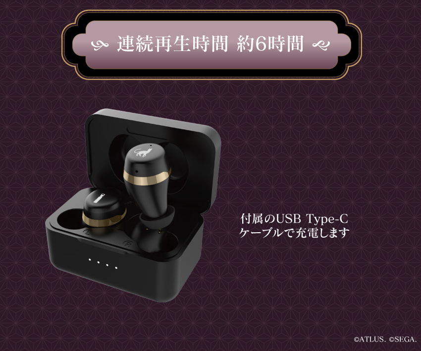連続再生時間 約6時間