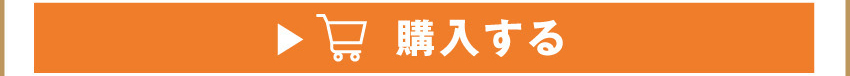 イヤホンを購入する