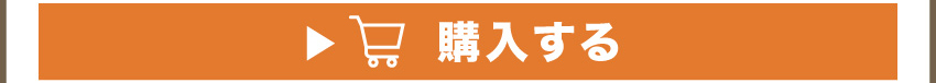 
	  イヤホンを購入する