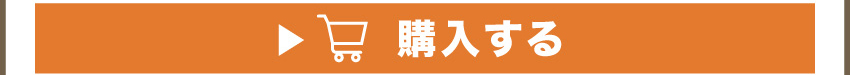 
	  イヤホンを購入する