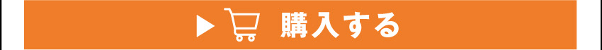 ソードアート・オンライン VRゴーグルを購入