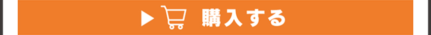 ワイヤレスイヤホンを購入する