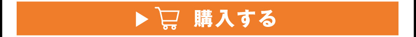 
	  イヤホンを購入する